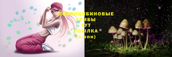 PSILOCYBIN Бугульма