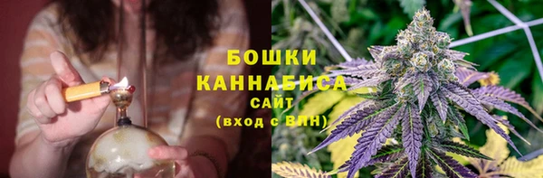 PSILOCYBIN Бугульма