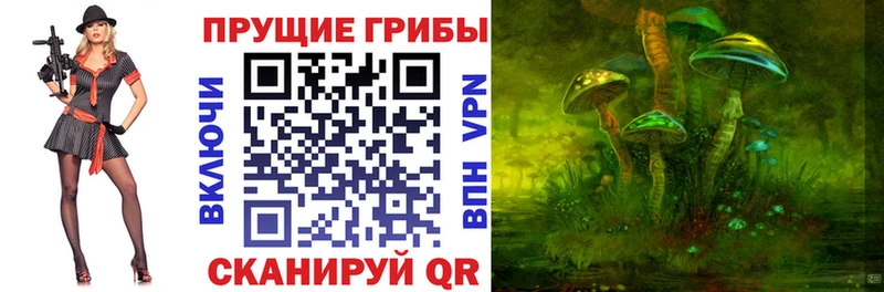 закладка  Осташков  Галлюциногенные грибы Magic Shrooms 