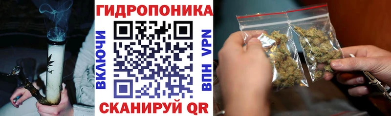 Марихуана сатива OMG зеркало Осташков